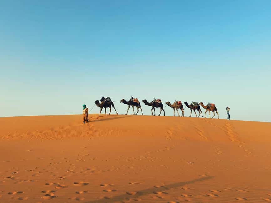 image n.1 of Marrakech: 3-day Merzouga Desert, Quad - Camel & Dinner Show activity in Drâa-Tafilalet, uploaded by supplier