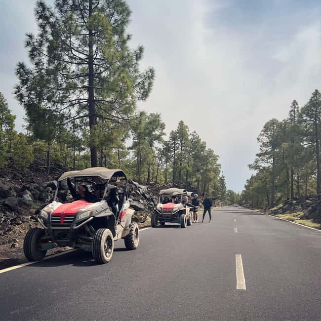 billede nr.4 af aktiviteten Tenerife: Teide Nationalpark og buggy-tur til vulkanen i Kanarieøerne, uploadet af udbyder