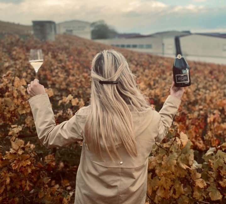 image n.8 of From Paris: Champagne Day Trip with 7 Tastings and Lunch activity in Epernay, uploaded by supplier