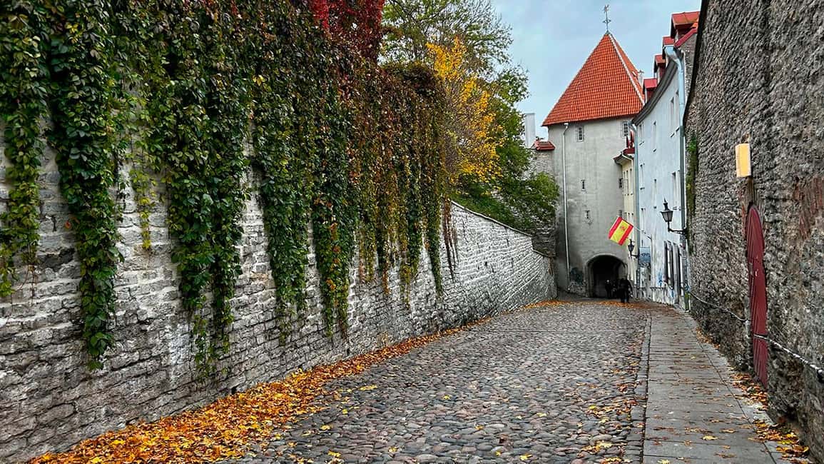 Immagine nº 9 di Tallinn: tour guidato a piedi della città vecchia attività a Tallinn, caricata dal fornitore