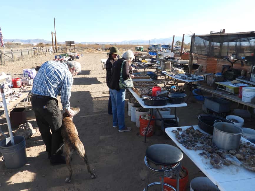 image n.48 of Oatman Mining Village: Burros/Route 66 Scenic Mountain Tour activity in Kingman, uploaded by supplier