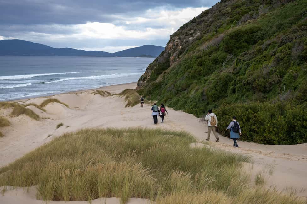 image n.13 of From Hobart: Bruny Island Adventure - Active Day Tour activity in Tasmania, uploaded by supplier