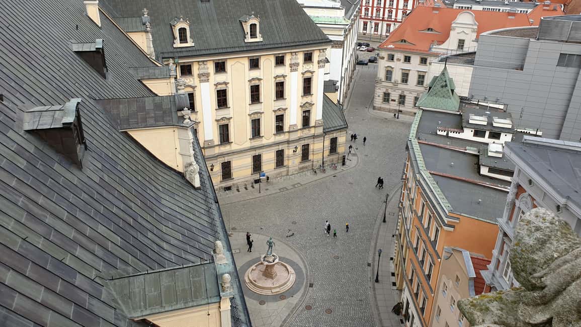 image n.17 of University of Wrocław – discover this place with a guide! activity in Wroclaw, uploaded by supplier