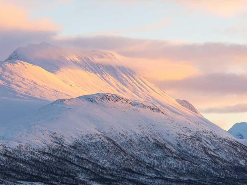 Bild Nr. 18 von Tromsø: Walbeobachtungstour mit dem Hybrid-Elektroboot Aktivität in Tromsø, hochgeladen vom Anbieter