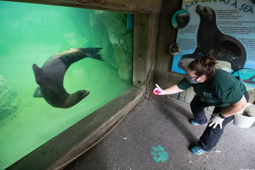 Immagine nº 25 di New Orleans: Biglietto per lo zoo di Audubon e opzione combinata attività a New Orleans, caricata dal fornitore
