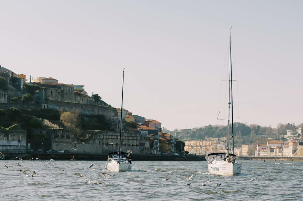 imagem n.82 de Porto: Cruzeiro de charme em veleiro com vinho do Porto, opção de pôr do sol atividade em São Pedro da Afurada, carregada pelo fornecedor