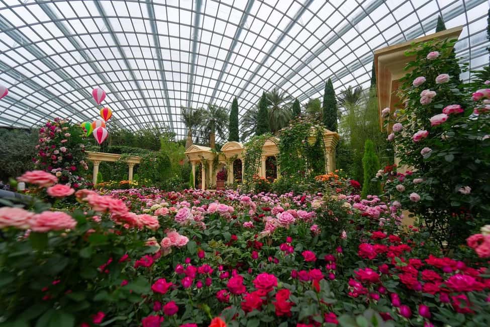 imagen n.º 12 de Singapur: Jardín de las Maravillas Disney en Fantasía Floral actividad en Singapur, subida por el proveedor