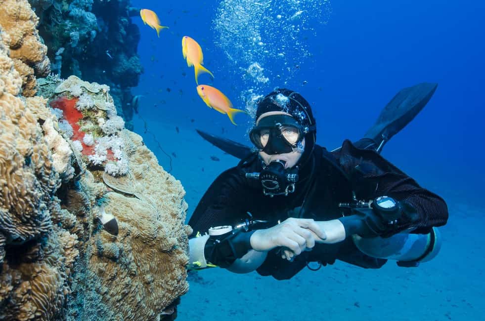 Kemer içindeki Antalya/Kemer: 2 Dalış ve Öğle Yemeği Dahil Scuba Dalış Deneyimi etkinliğinin tedarikçi tarafından yüklenen 2 no'lu görseli