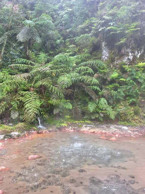 image n.16 of Privat van tour Sete Cidades, Lagoa do Fogo – volcanic lakes activity in Azores, uploaded by supplier