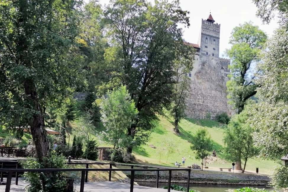 image n.8 of Legends&Wildlife Awaits: Dracula's Castle & Bear Sanctuary activity in Brasov, uploaded by supplier