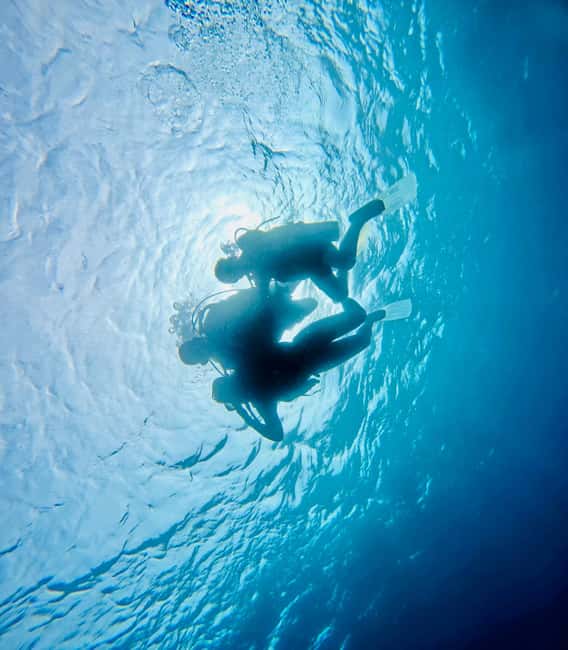 image n.9 of DISCOVER SCUBA DIVING IN LEMORNE with EasydiveMauritius activity in Mauritius, uploaded by supplier