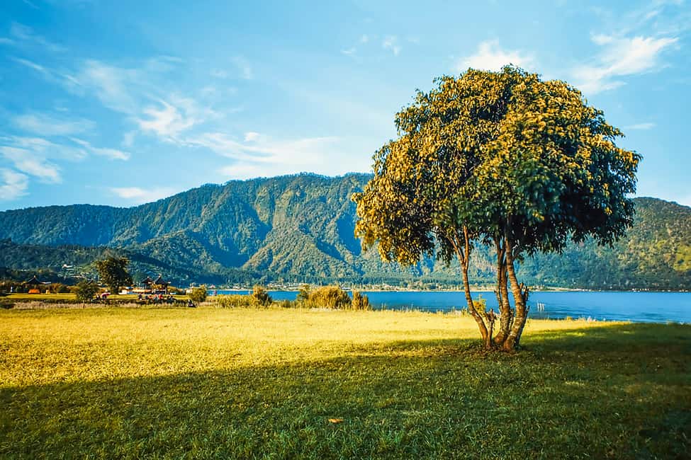 imagem n.9 de Norte de Bali: Excursão ao nascer do sol com golfinhos, cascatas e templos atividade em Bali, carregada pelo fornecedor