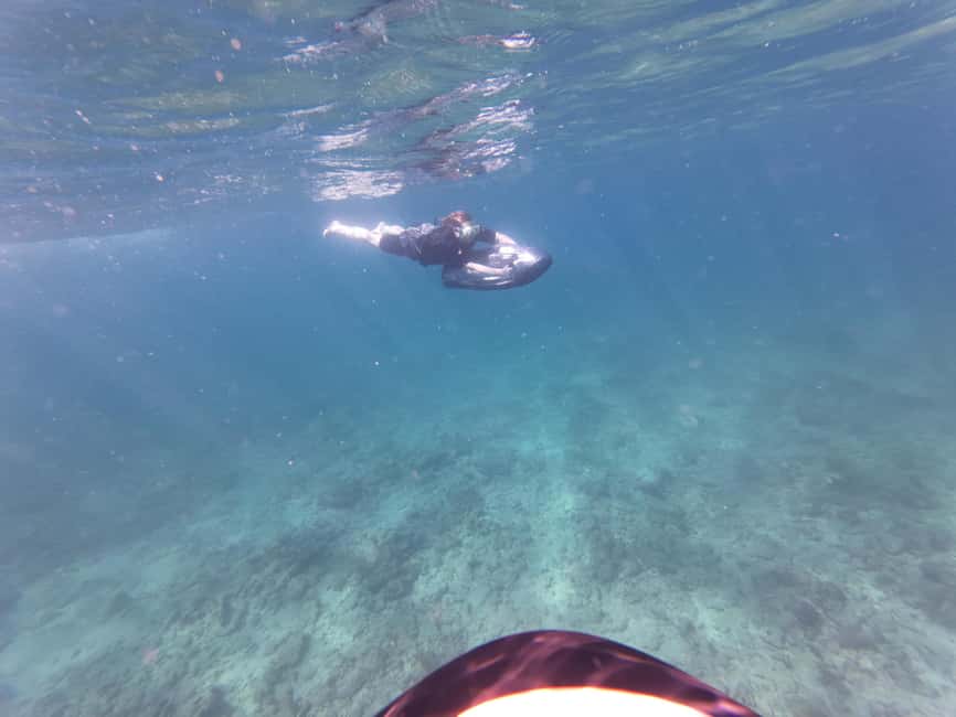 imagen n.º 21 de Fort Lauderdale: Excursión y alquiler de esnórquel SEABOB Ultimate actividad en Fort Lauderdale, subida por el proveedor