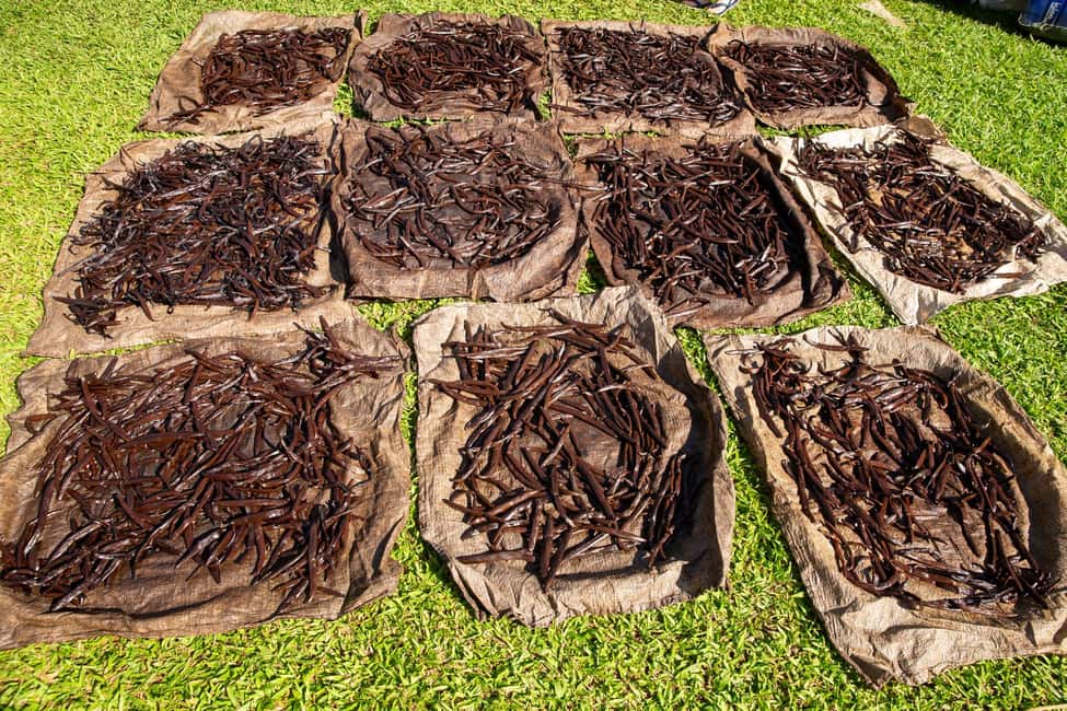 image n.3 of Manuel Antonio Villa Vanilla spice tour activity in Puntarenas Province, uploaded by supplier