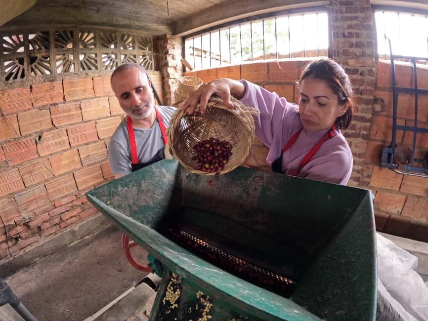 imagem n.22 de Bogotá: Tour do café colombiano com partida diária da fazenda atividade em Fusagasugá, carregada pelo fornecedor