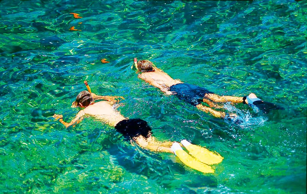 bild nr.10 av Mallorca: Kryssning med delfinskådning aktivitet i Calvià, uppladdad av arrangören