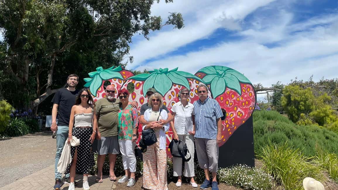 imagen n.º 16 de Desde Adelaida: Hahndorf y Valle de Barossa con almuerzo en bodega actividad en Nuriootpa, subida por el proveedor