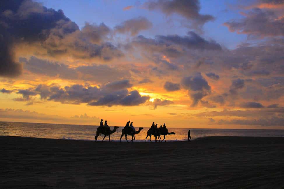 image n.11 of Cabo San Lucas: Camel Ride on the Beach activity in Cabo San Lucas, uploaded by supplier