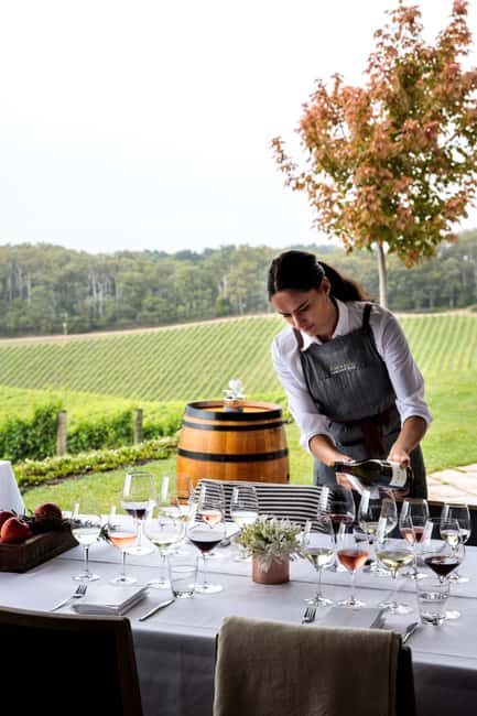 imagen n.º 1 de Barossa: Excursión en grupo reducido, almuerzo y cata de vinos Premium actividad en Australia Meridional, subida por el proveedor