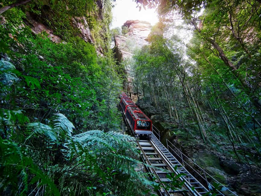 image n.2 of Sydney: Zoo, Blue Mountains and Scenic World Mandarin Tour activity in Katoomba, uploaded by supplier