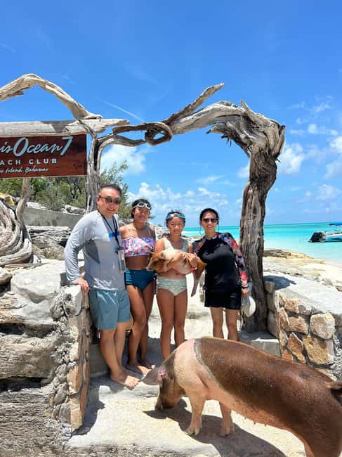 Image N°18 de Nassau : Cochons, plongée en apnée, tortues, déjeuner, club de plage privé activité à New Providence, publiée par le prestataire