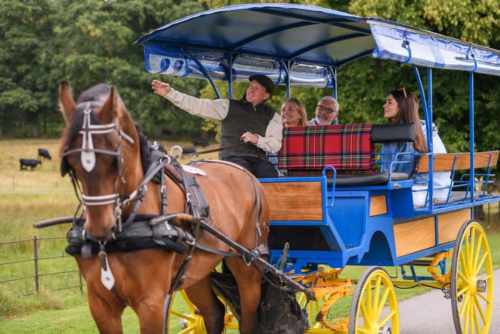 image n.7 of Killarney: Views & Brews Jaunting in Killarney National Park activity in Munster, Ireland, uploaded by supplier