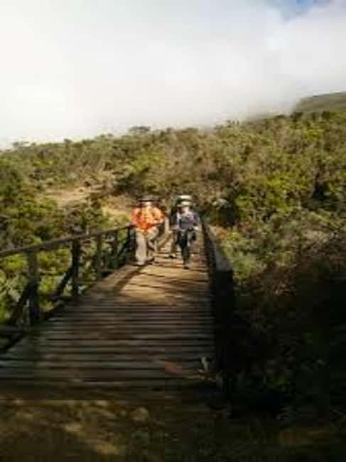 image n.6 of Best Kilimanjaro Day Hike With Car Shira Plateau experience activity in Arusha (Region), uploaded by supplier