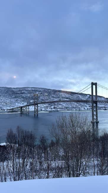 image n.17 of Narvik/Harstad:Day tour of Fjords with stop at Reindeer farm activity in Narvik, uploaded by supplier