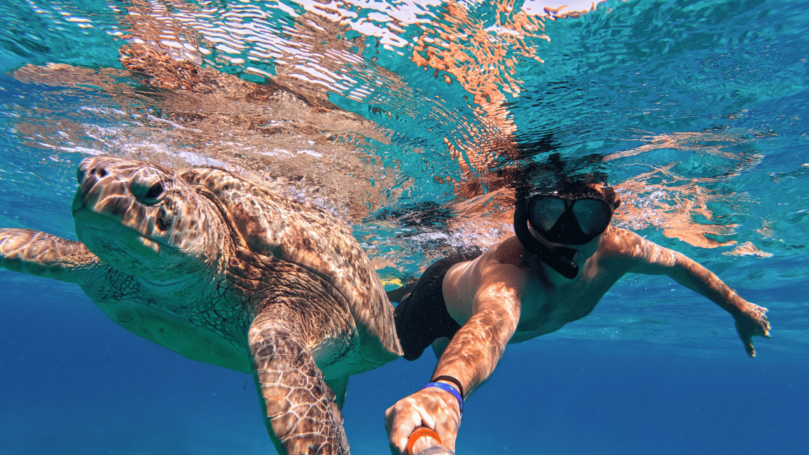 afbeelding n.6 van Sint Maarten: Catamaran snorkelcruise met open bar en lunch activiteit in Sint Maarten, geüpload door aanbieder