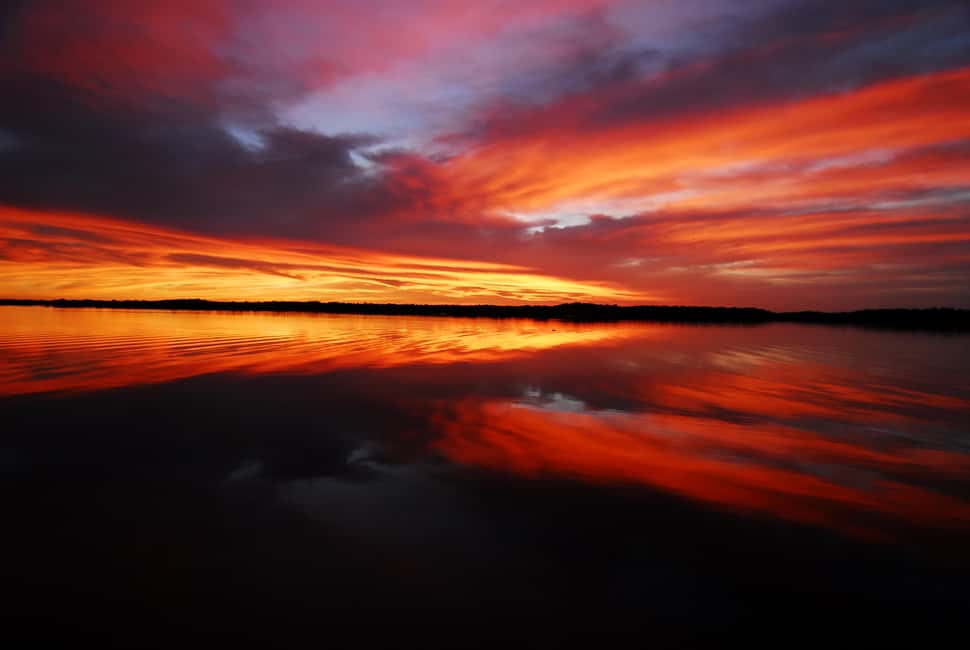 image n.10 of Marco Island: Ten Thousand Islands Shelling & Dolphin Tour activity in Florida, uploaded by supplier