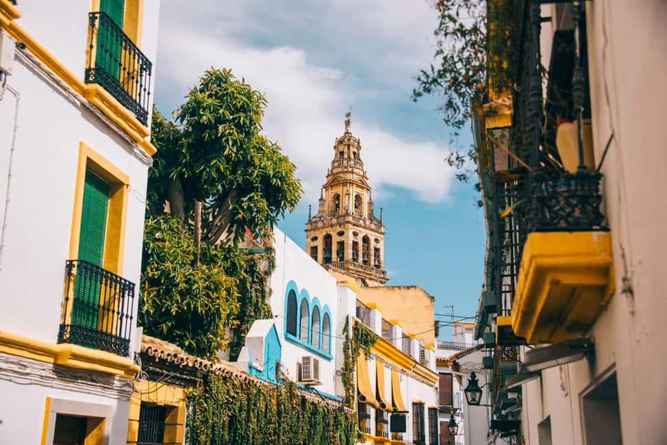 image n.5 of From Seville: Cordoba Full-Day Tour with Tickets Included activity in Córdoba, uploaded by supplier