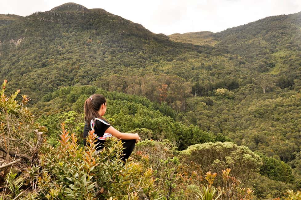 image n.2 of Bogota: East Hills Mountain Hike activity in Bogotá, uploaded by supplier