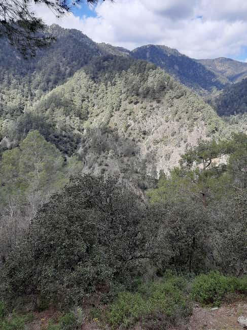 image n.4 of Unforgettable day on safari from Paphos to the Troodos mountains activity in Limassol District, uploaded by supplier