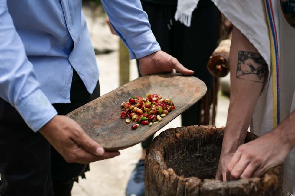 imagem n.24 de Medellín: Tour do café, chegada a cavalo e cana-de-açúcar atividade em Medellín, carregada pelo fornecedor