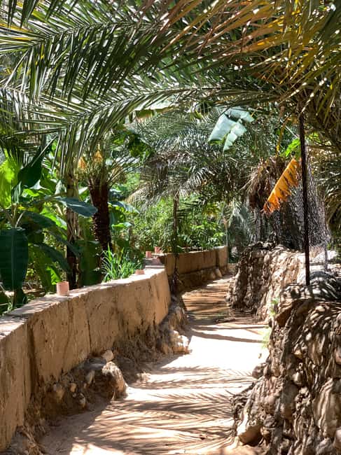 Immagine nº 3 di Muscat: Tour privato di Wadi Shab e Bimmah Sinkhole con pranzo attività a Regione al-Sharqiyya, caricata dal fornitore