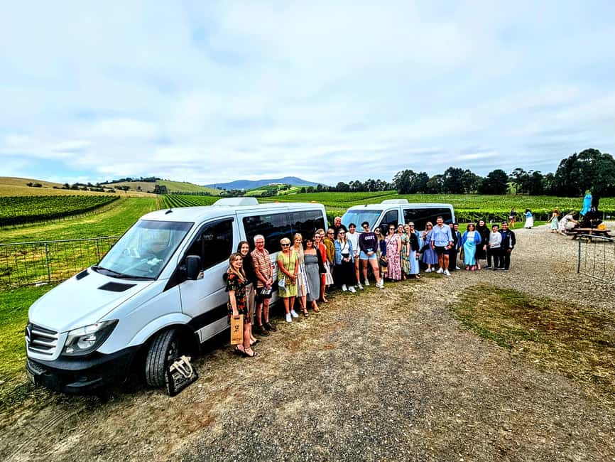 image n.48 of Melbourne: Yarra Valley Wine, Gin, Whisky and Chocolate Tour activity in Melbourne, uploaded by supplier