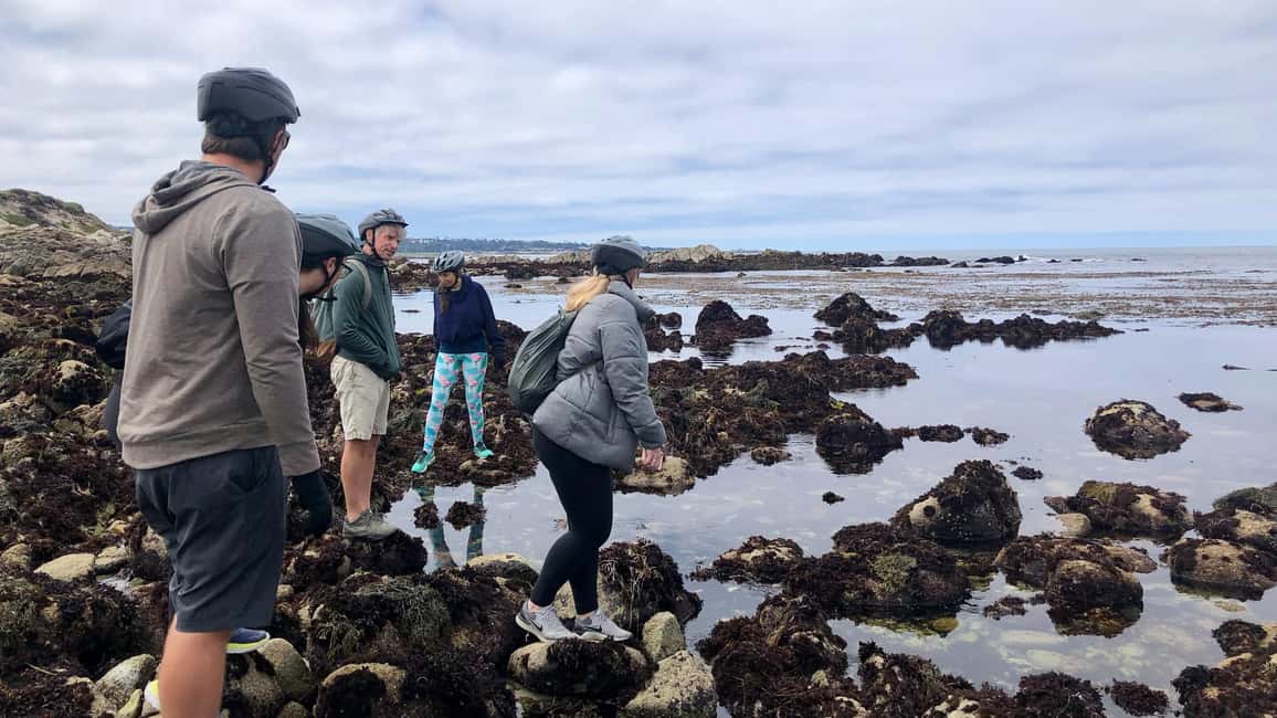 imagem n.18 de Monterey: 17-Mile Drive Tour guiado em E-Bike atividade em Califórnia, carregada pelo fornecedor