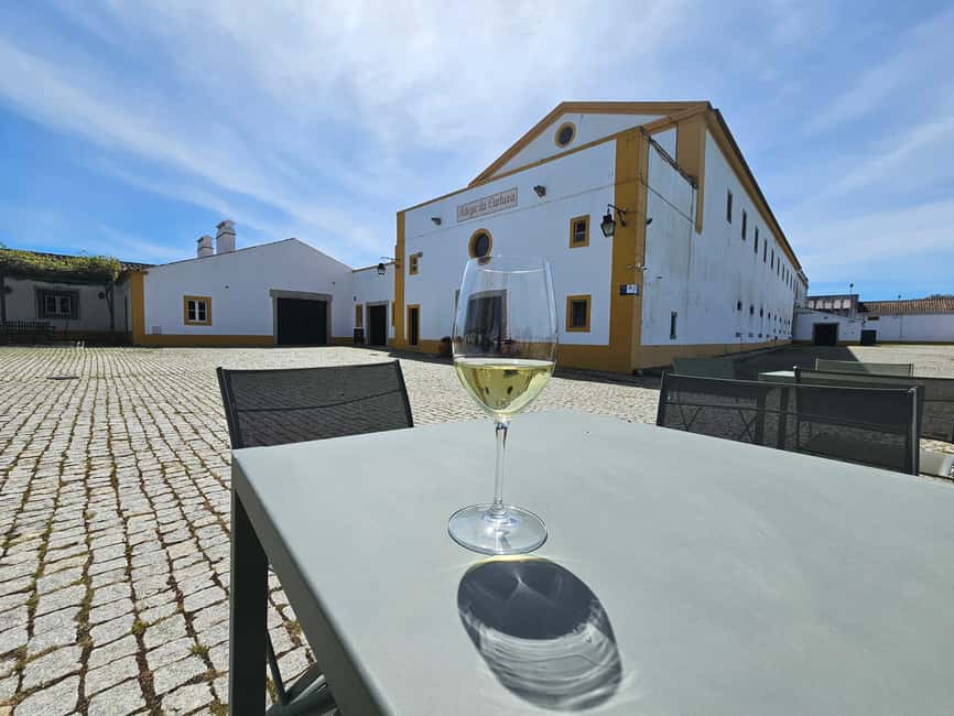 image n.8 of Lisboa: Évora, Cartuxa & Arraiolos Tour with Chapel of Bones activity in Evora, uploaded by supplier