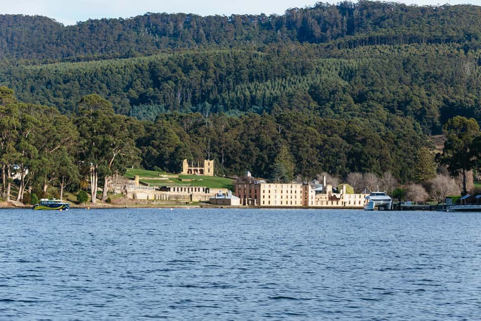image n.6 of From Port Arthur: Tasman Island Wilderness Cruise activity in Port Arthur, uploaded by supplier