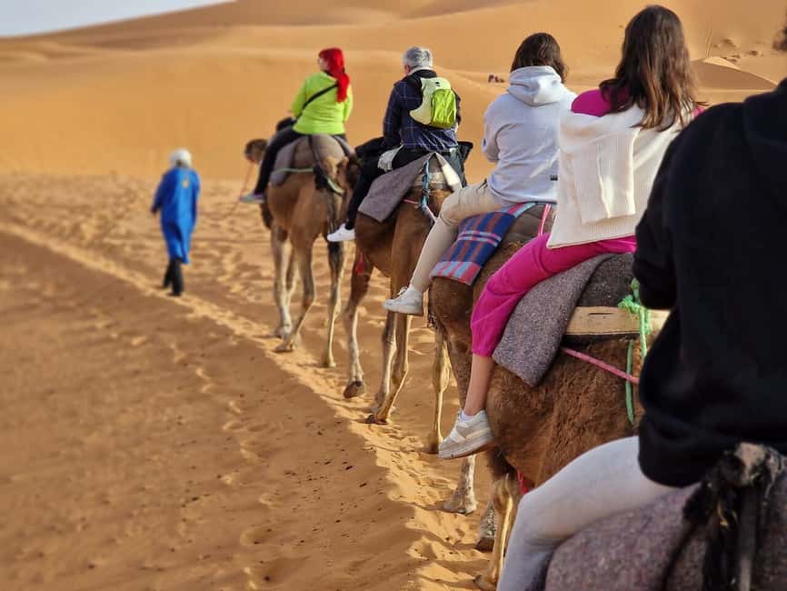 Image N°8 de Au départ de Fès : 2 jours d'excursion de luxe dans le désert à Marrakech et retour à Fès activité à Drâa-Tafilalet, publiée par le prestataire