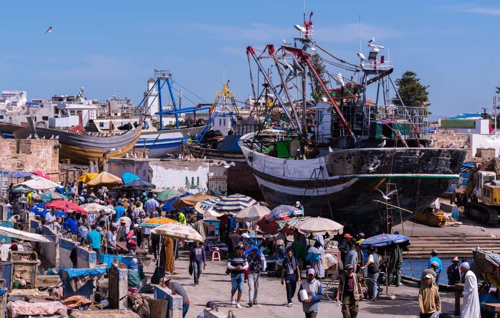 image n.12 of Essaouira: Sqala du Port, Citadel, Fish Market & Medina Tour activity in Essaouira, uploaded by supplier