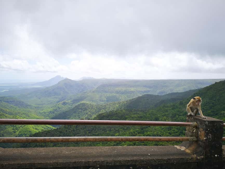 Immagine nº 8 di Mauritius: Tour privato a sud-ovest con prelievo attività a Mauritius, caricata dal fornitore