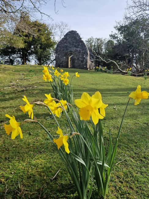 Obraz nr 8 z atrakcji Killarney: Rejs wycieczkowy na wyspę Innisfallen, jeziora Killarney w Munster, przesłany przez organizatora