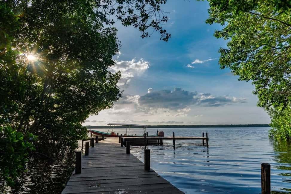image n.10 of Merida: Celestun Boat Ride Mangrove Experience! Beach Time activity in Celestún, uploaded by supplier