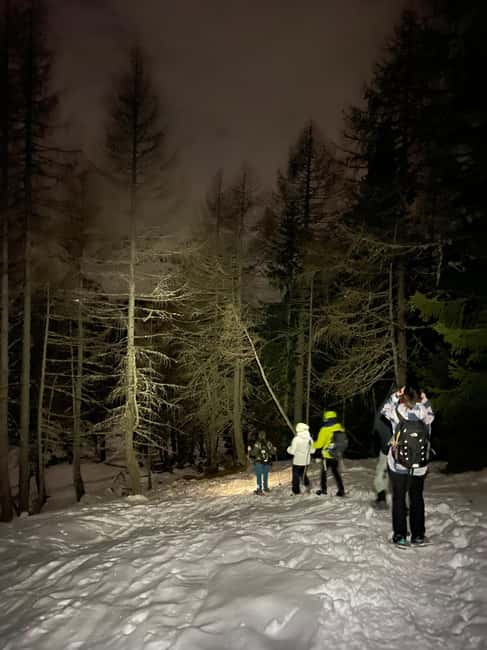 imagem n.5 de As Dolomitas à noite com raquetes de neve atividade em Borca di Cadore, carregada pelo fornecedor