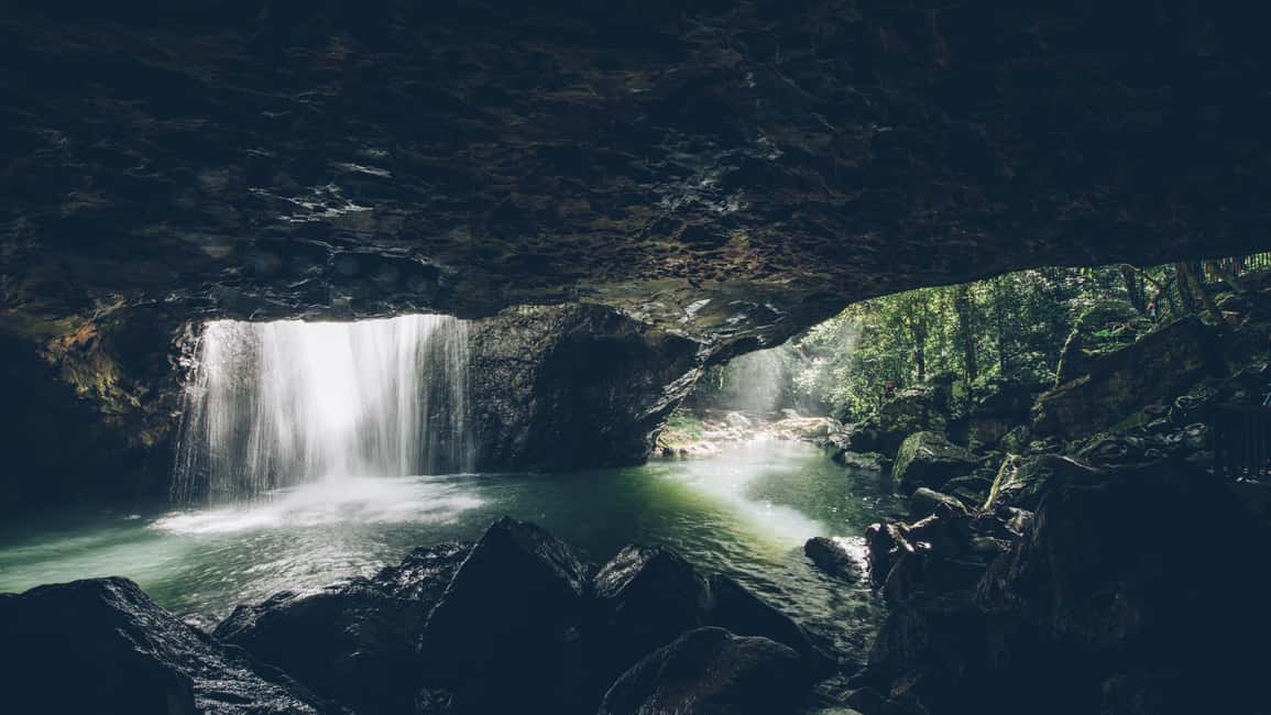 Brisbane: Springbrook 7 Waterfalls and Natural Bridge Tour | GetYourGuide