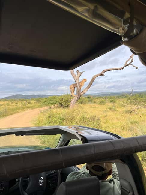 image n.7 of From St Lucia: 3 Day 2 Night Hluhluwe,St Lucia, iSimangaliso activity in Hlabisa, uploaded by supplier