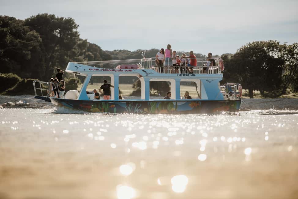 Bild Nr. 10 von FAŽANA: DELPHIN-SAFARI Aktivität in Pula, Kroatien, hochgeladen vom Anbieter