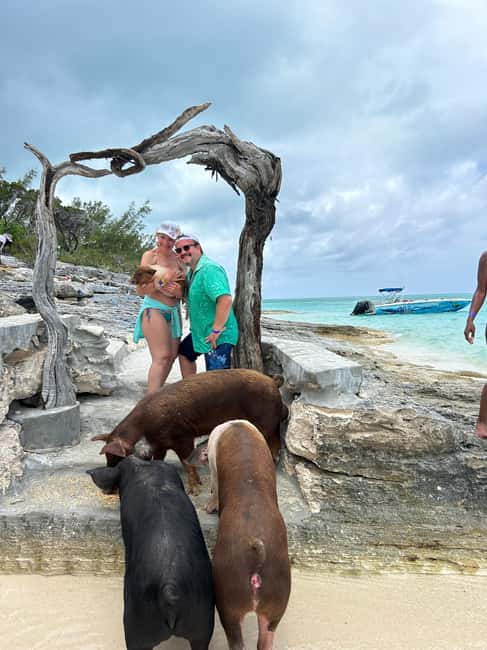Image N°35 de Nassau : Cochons, plongée en apnée, tortues, déjeuner, club de plage privé activité à New Providence, publiée par le prestataire