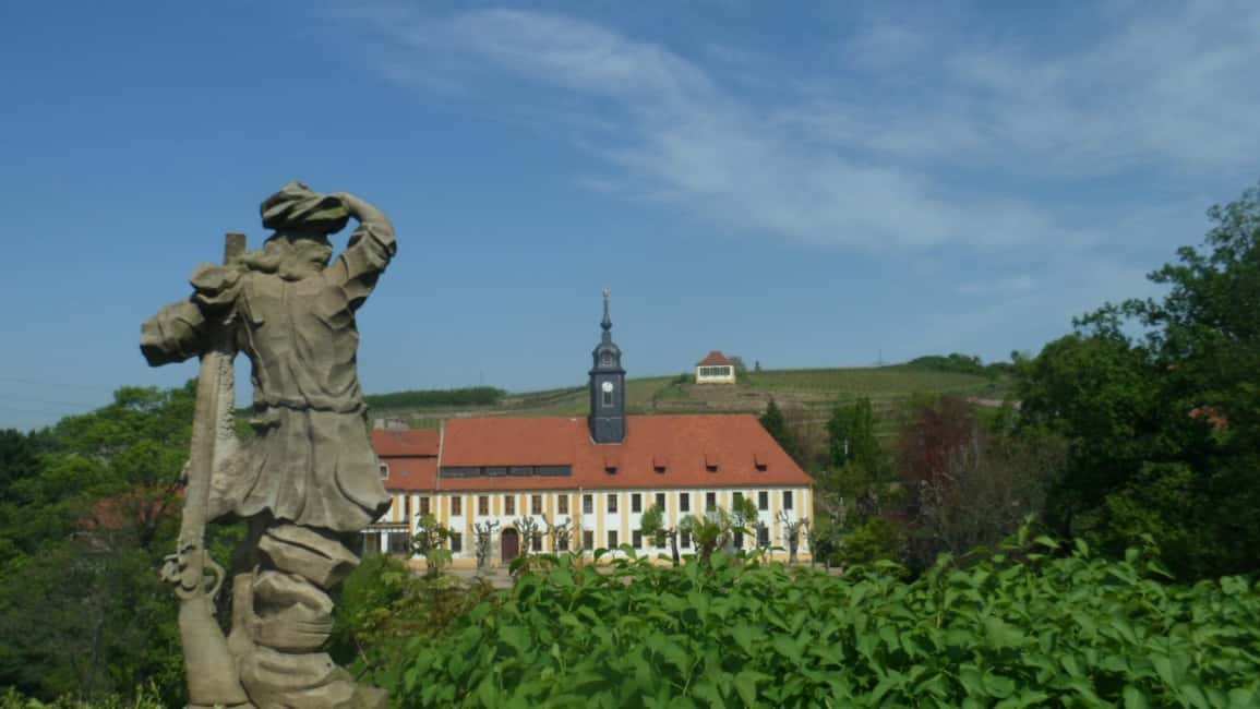billede nr.9 af aktiviteten Dresden: Bådtur med vinsmagning og snacks i Tyskland, uploadet af udbyder